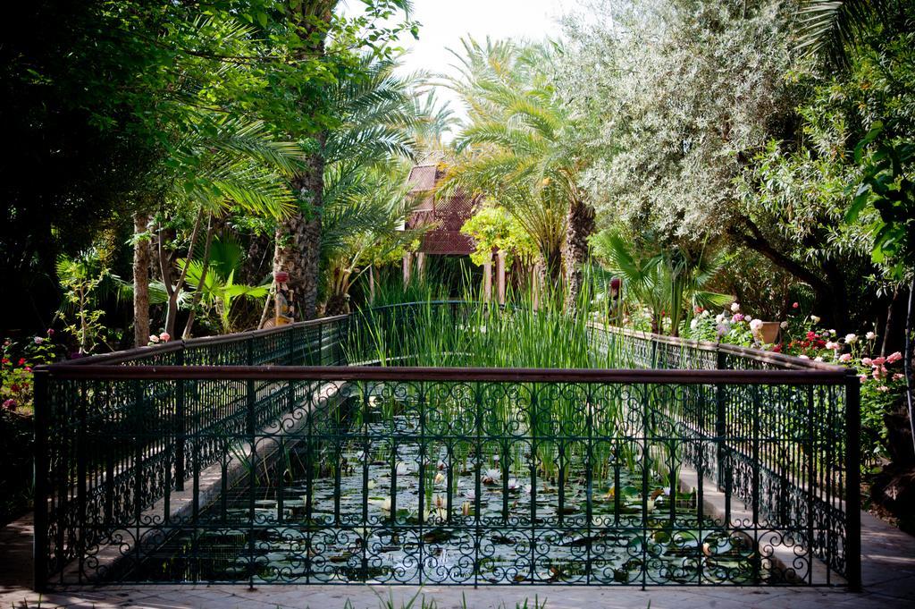 Dar Ayniwen Garden Hotel & Bird Zoo Marrakesz Zewnętrze zdjęcie